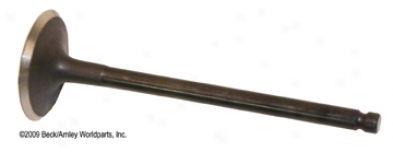 Beck Arnley 0213584
