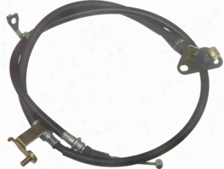 Dura International Bc129828