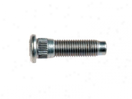 Dorman Autograde 610-344 610344 Ford Wheel Studs Nuts