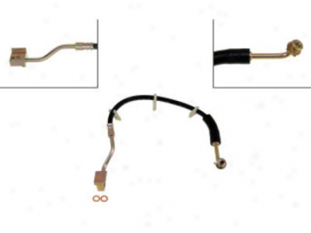 Dorman First Stop H380370 Ford Parts