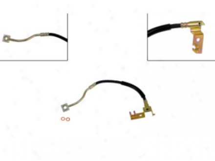 Dorman First Stip H620149 Dodge Parts