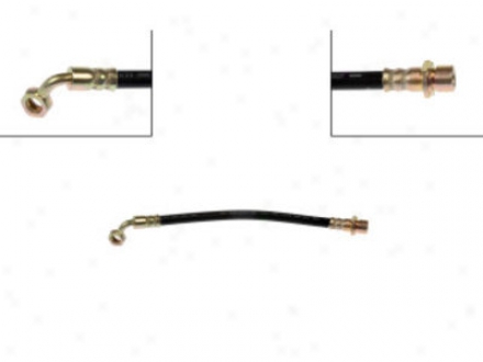 Dorman Foremost Stop H6620661 Scion Parts