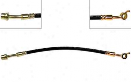 Dorman First Hinder H621056 Toyota Parts