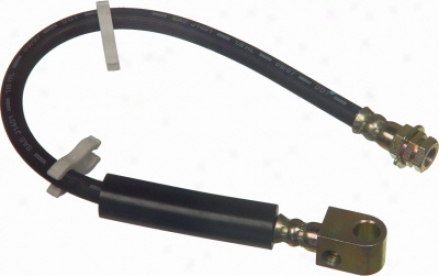 Wagner Categorical Numbers Bh130431 Ford Parts