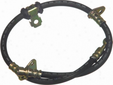Wagner Categorical Numbers Bh133026 Ford Talents