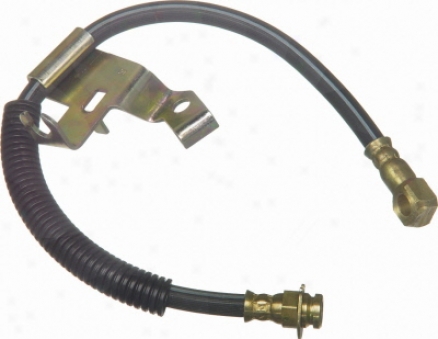 Wagner Categorical Numbers Bh140118 Ford Parts
