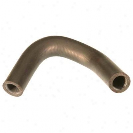 Gates  Engine Oil Seals Gates 19742