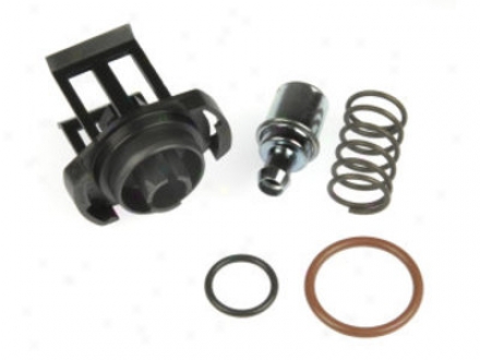 Dorman Help 47033 47033 Oldsmobile Pcg Valves