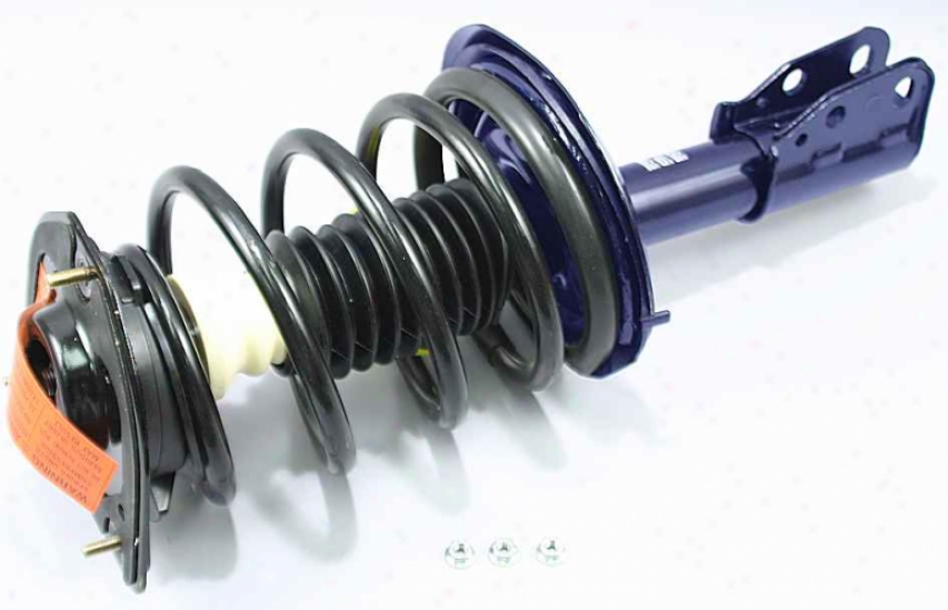 Monroe Shocks Struts 181822 181822 Buick Parts