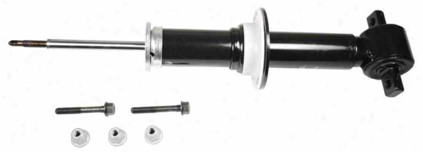 Monroe Shocks Struts 39106 39106 Lincoln Parts