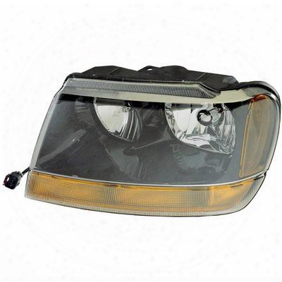 Omix-ada Headlight Assembly (clear) - 12402.09
