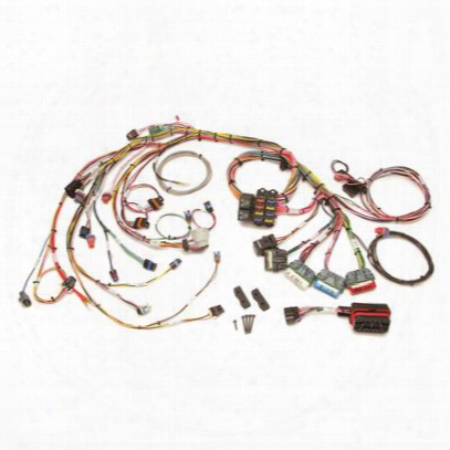 Painless Wiring Fuel Injection Wiring Harness - 60212