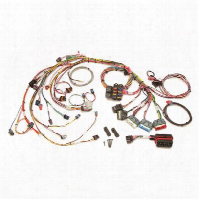 Painless Wiring Fuel Injection Wiring Harness - 60213