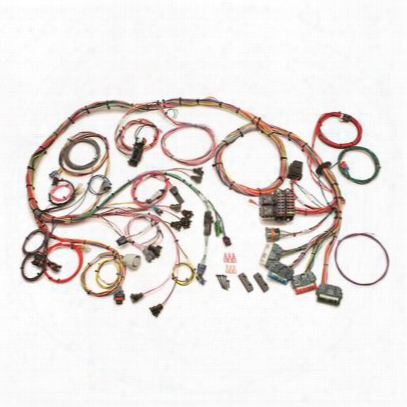 Painless Wiring Fuel Injection Wiring Harness - 60505