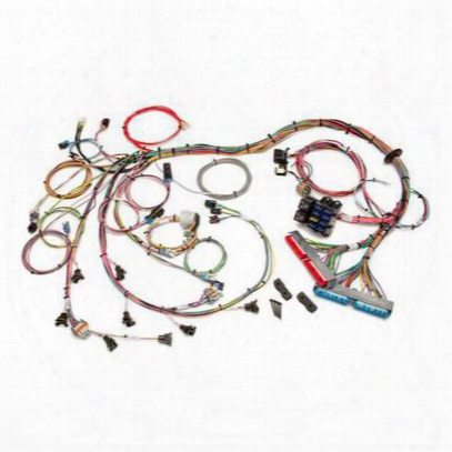 Painless Wiring Fuel Injection Wiring Harness - 60508
