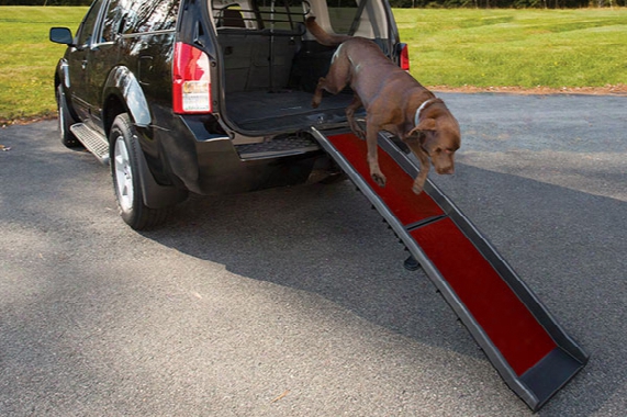 Kurgo Wander Dog Ramp