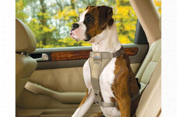 Kurgo Tru-fit Smart Dog Harness 01128 Tru-fit Smart Dog Harness With Plastic Quick Relea