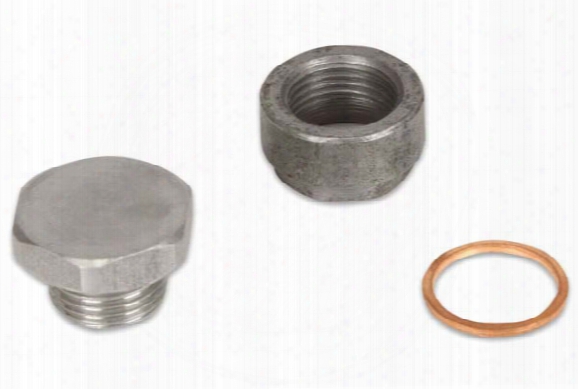Msd O2 Sensor Bung & Plug 2931 O2 Sensor Bung & Plug