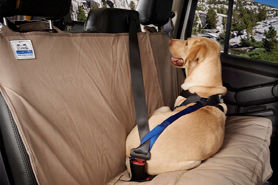 Canine Covers Travel Safe Dog Harness
