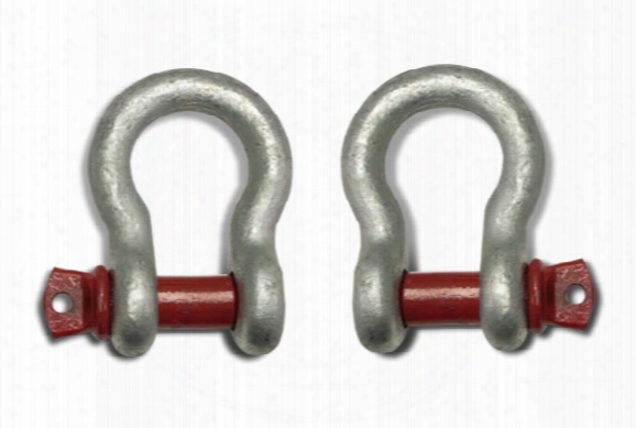 Icon D-ring Shackles
