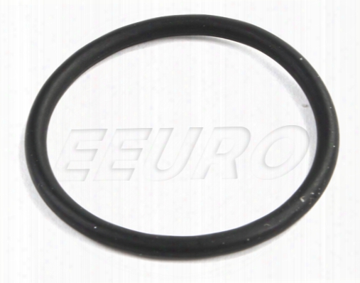 Engine Water Pump O-ring (small) - Hepu 870069 Saab 55562943
