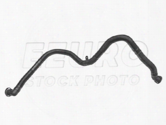 Secondary Air Pump Hose - Air Pump To Filter Housing - Genuine Vw 06a133889f