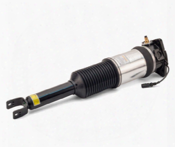 Air Strut Assembly - Rear Driver Side (w/ Standard Suspension) Vw 4e0616001r