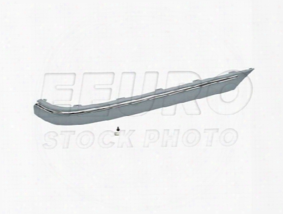 Bumper Impact Strip - Rear Passenger Side (un-painted) 20388528219999