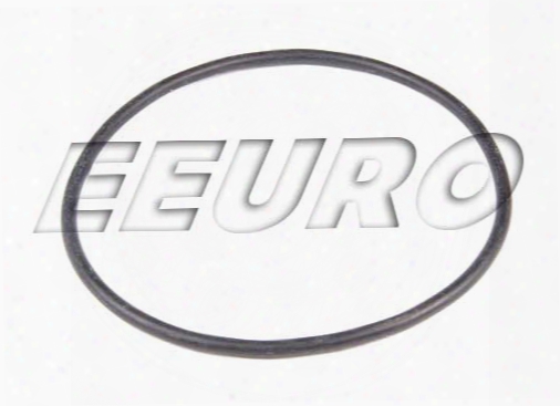 Fuel Pump O-ring - Ti Automotive 29900010003 Saab 4160511