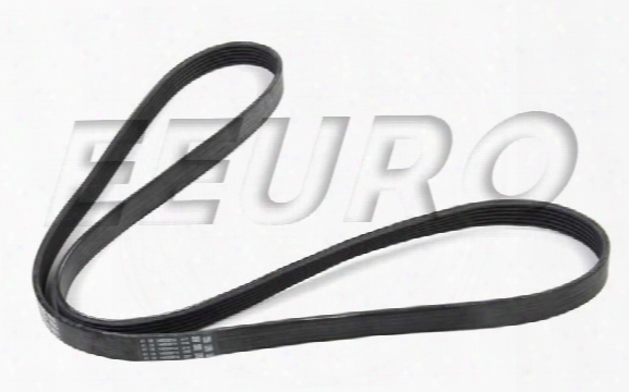 Accessory Drive Belt (6k 1623) - Continental 6k1623 Volvo 9146557