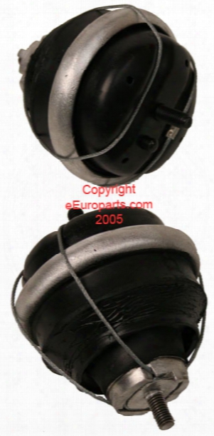 Engine Mount - Rein Ave0126r Volvo