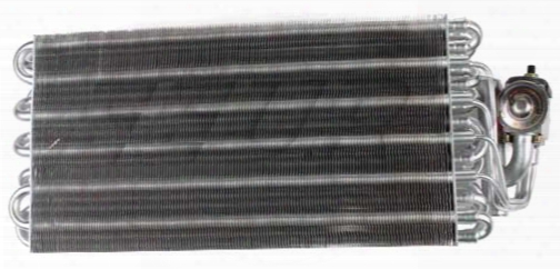 A/c Evaporator Core (w/ Expansion Valve) - Rein Ace0060r Bmw 64118361918