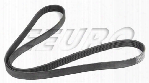 Accessory Drive Belt (7k 1629) - Continental 7k1629 Bmw 11287833264