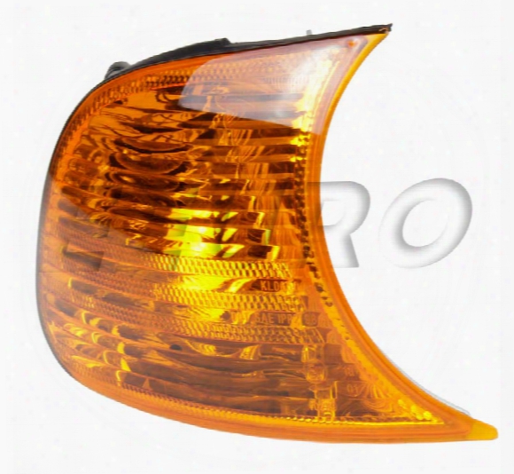 Turnsignal Assembly - Passenger Side (amber) - Oe Supplier 63136919650