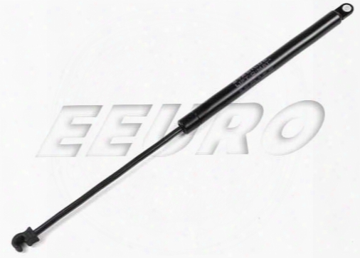 Trunk Lift Support - Proparts 83434648 Volvo 1334648