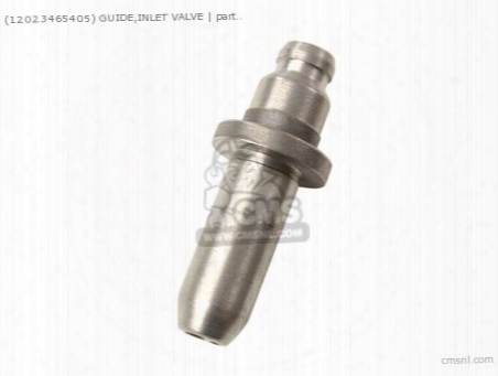 (12023465405) Guide,inlet Valve