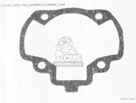(12191-gz4-790) Gasket,cylinder