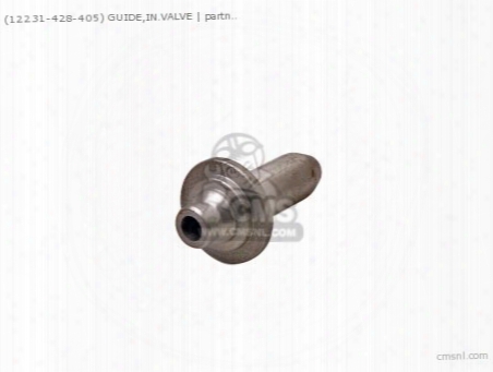 (12231428405) Guide,in.valve