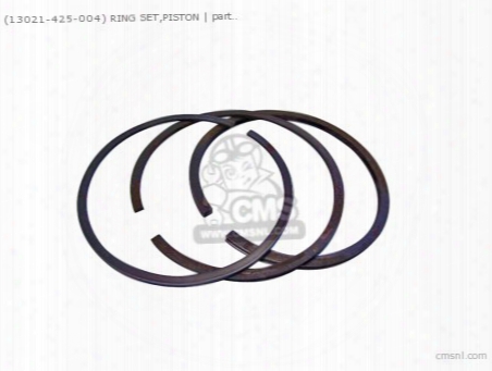 (13021425004) Ring Set,piston