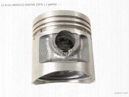 (13101399010) Piston (std.)