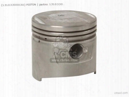 (13103300030) Piston