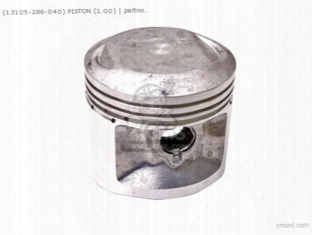 (13105286040) Piston (1.00)