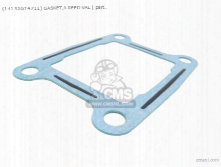 (14132gt4711) Gasket,a Reed Val