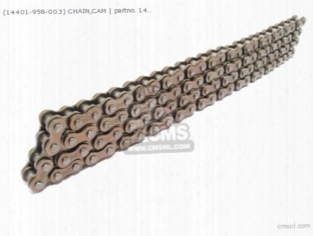 (14401958003) Chain,cam