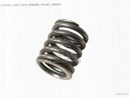 (14751001020) Spring Valve