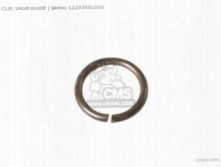 Clip, Valve Guide