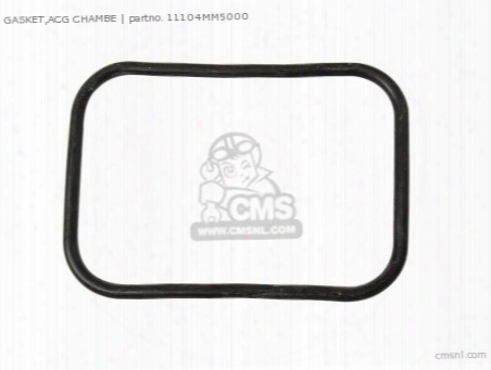 Gasket,acg Chambe