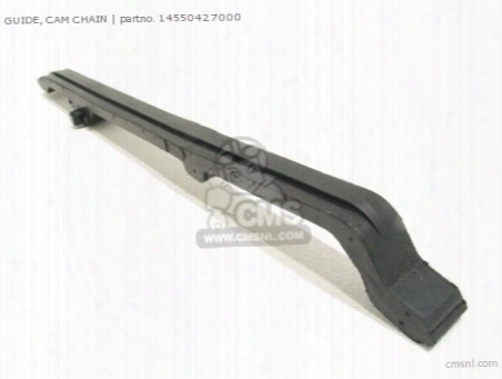 Guide, Cam Chain