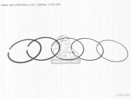 Ring Set,piston(0.25)