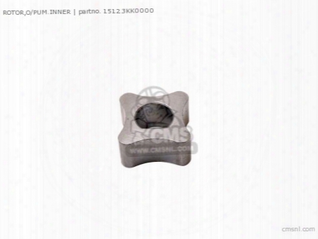 Rotor,o/pum.inner